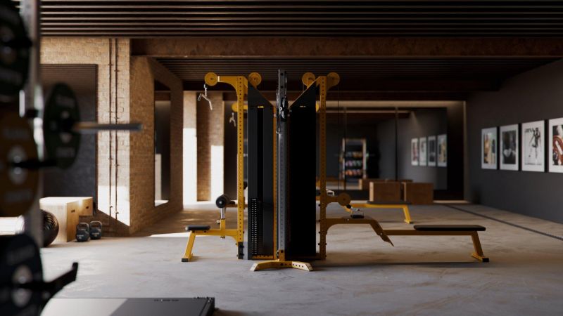 Eleiko Cable Design - Home Gym Setup